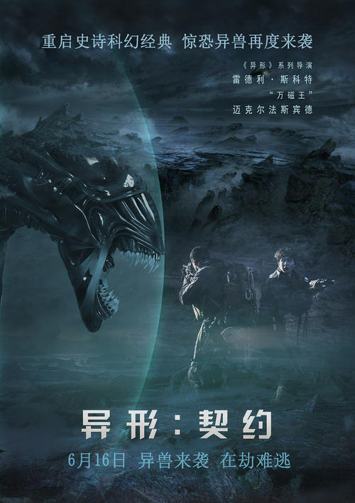 纳瓦拉公立大学 Art diploma